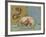 Dolphin - Arion Is Saved by a Dolphin-null-Framed Giclee Print