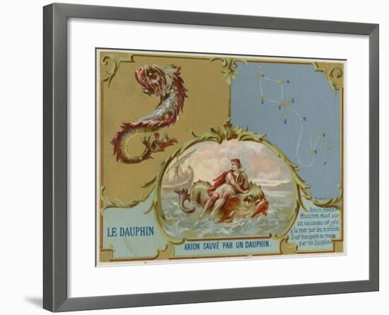 Dolphin - Arion Is Saved by a Dolphin-null-Framed Giclee Print