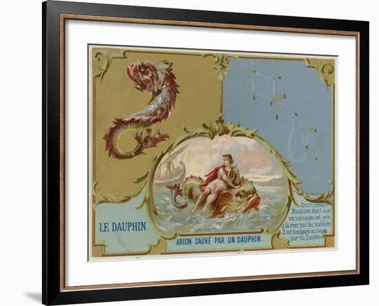 Dolphin - Arion Is Saved by a Dolphin-null-Framed Giclee Print