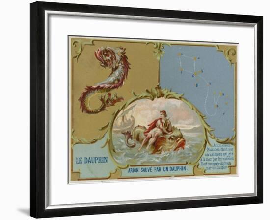 Dolphin - Arion Is Saved by a Dolphin-null-Framed Giclee Print