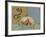 Dolphin - Arion Is Saved by a Dolphin-null-Framed Giclee Print