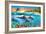 Dolphin Bay-Adrian Chesterman-Framed Premium Giclee Print