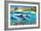 Dolphin Bay-Adrian Chesterman-Framed Premium Giclee Print