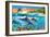 Dolphin Bay-Adrian Chesterman-Framed Premium Giclee Print