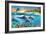 Dolphin Bay-Adrian Chesterman-Framed Premium Giclee Print