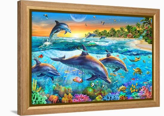 Dolphin Bay-Adrian Chesterman-Framed Stretched Canvas