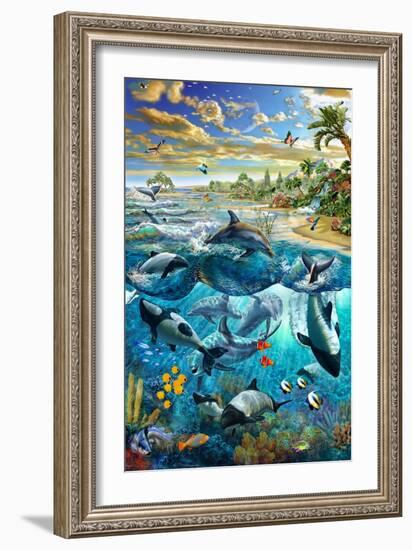 Dolphin Beach-Adrian Chesterman-Framed Premium Giclee Print