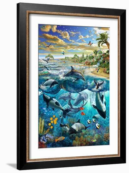 Dolphin Beach-Adrian Chesterman-Framed Premium Giclee Print