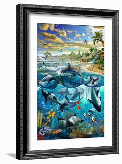 Dolphin Beach-Adrian Chesterman-Framed Premium Giclee Print