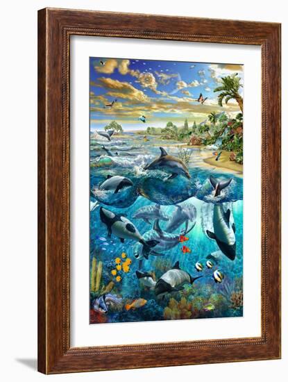 Dolphin Beach-Adrian Chesterman-Framed Art Print