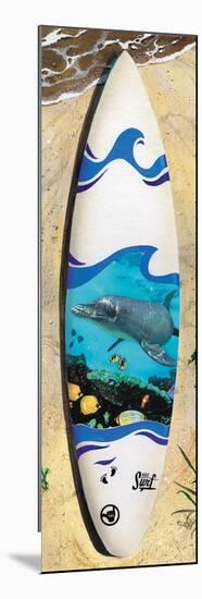 Dolphin Board-Scott Westmoreland-Mounted Art Print