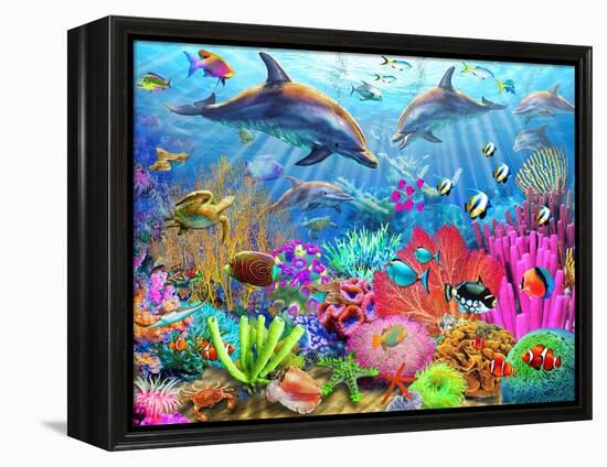 Dolphin Coral Reef-Adrian Chesterman-Framed Stretched Canvas