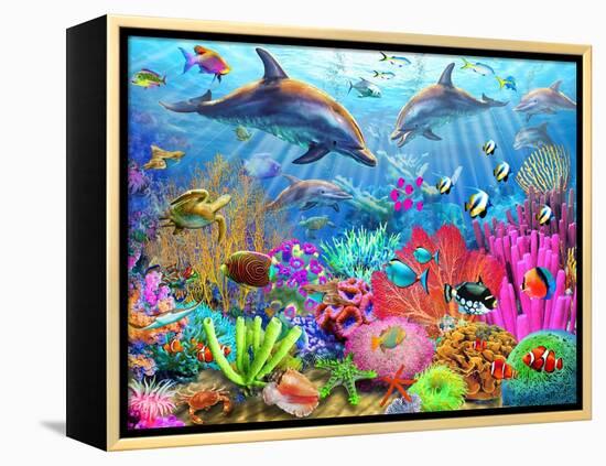 Dolphin Coral Reef-Adrian Chesterman-Framed Stretched Canvas