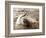 Dolphin Friendship-null-Framed Photographic Print