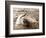 Dolphin Friendship-null-Framed Photographic Print