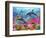 Dolphin Fun-Adrian Chesterman-Framed Premium Giclee Print