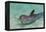 Dolphin in the Ocean, Roatan Island, Honduras-Keren Su-Framed Premier Image Canvas