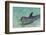 Dolphin in the Ocean, Roatan Island, Honduras-Keren Su-Framed Premium Photographic Print