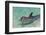 Dolphin in the Ocean, Roatan Island, Honduras-Keren Su-Framed Premium Photographic Print