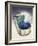 Dolphin in Wave-Harro Maass-Framed Giclee Print