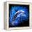 Dolphin Jumping-null-Framed Stretched Canvas