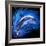 Dolphin Jumping-null-Framed Art Print