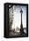 Dolphin Lamp Post, South Bank, London, England, United Kingdom, Europe-Matthew Williams-Ellis-Framed Premier Image Canvas