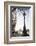 Dolphin Lamp Post, South Bank, London, England, United Kingdom, Europe-Matthew Williams-Ellis-Framed Photographic Print