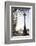 Dolphin Lamp Post, South Bank, London, England, United Kingdom, Europe-Matthew Williams-Ellis-Framed Photographic Print