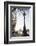 Dolphin Lamp Post, South Bank, London, England, United Kingdom, Europe-Matthew Williams-Ellis-Framed Photographic Print