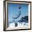 Dolphin Leaping for Ball-Peter Scoones-Framed Premium Photographic Print