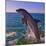 Dolphin Leaping from Sea, Roatan Island, Honduras-Keren Su-Mounted Photographic Print