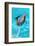 Dolphin Plays In Pool-Michal Bednarek-Framed Photographic Print