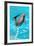 Dolphin Plays In Pool-Michal Bednarek-Framed Photographic Print