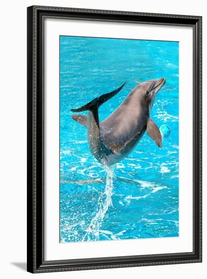 Dolphin Plays In Pool-Michal Bednarek-Framed Photographic Print