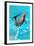 Dolphin Plays In Pool-Michal Bednarek-Framed Photographic Print