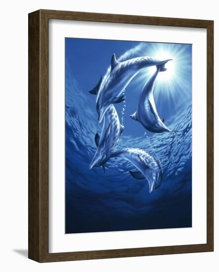Dolphin Swing-Joh Naito-Framed Giclee Print