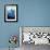 Dolphin Tale I-null-Framed Art Print displayed on a wall