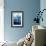 Dolphin Tale I-null-Framed Art Print displayed on a wall