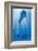 Dolphin Tale II-null-Framed Art Print