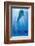 Dolphin Tale II-null-Framed Art Print