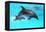 Dolphin With A Baby Floating In The Water-Elena Larina-Framed Premier Image Canvas