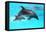 Dolphin With A Baby Floating In The Water-Elena Larina-Framed Premier Image Canvas