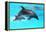 Dolphin With A Baby Floating In The Water-Elena Larina-Framed Premier Image Canvas