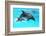 Dolphin With A Baby Floating In The Water-Elena Larina-Framed Photographic Print