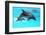 Dolphin With A Baby Floating In The Water-Elena Larina-Framed Photographic Print