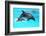 Dolphin With A Baby Floating In The Water-Elena Larina-Framed Photographic Print