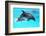 Dolphin With A Baby Floating In The Water-Elena Larina-Framed Photographic Print