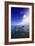 Dolphin-null-Framed Photographic Print