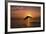 Dolphin-null-Framed Photographic Print